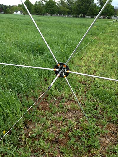 Cover Crops _Grazingcovercrop